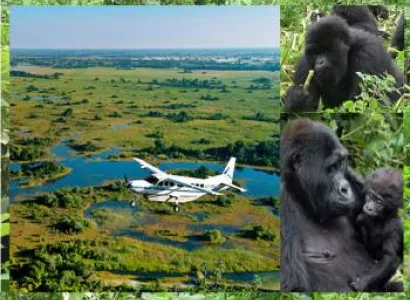 4 Days Mountain Gorilla Trekking Safari-Flying Tour