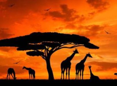 6Day Kenya - Tanzania Safari Tour From Nairobi To Kilimanjaro