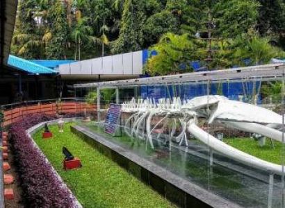 Port Blair Tour Package