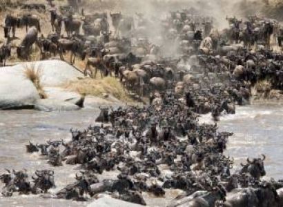 4 Days Tanzania Mid-Range Safari Tour