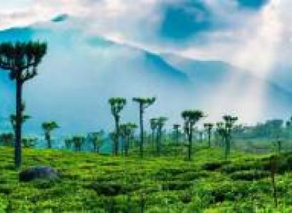 5Night Sri Lanka - Kandy - Colombo And Bentota