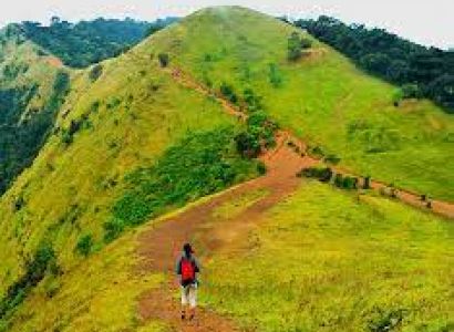 2 Nights - 3 Days  Kodachadri Trek Tour