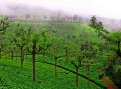 Mysore - Ooty - Coonnor Ex - Bangalore 03 Days 02 Night Tour