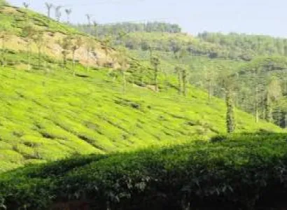 Sringeri - Horanadu Ex - Bangalore 03 Days 02 Night Tour