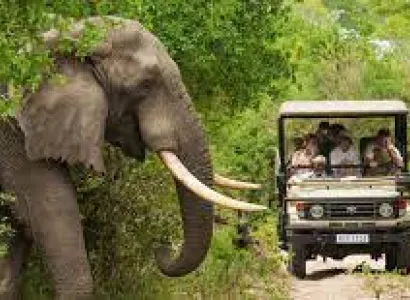 Wayanad - Nagarhole National Park  Ex-Banaglore 03 Days 02 Night Tour