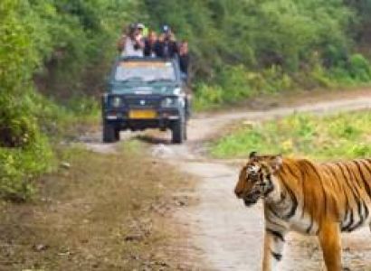 Jim Corbett Safari Tour ( Group Tour for Minimum 4 persons )