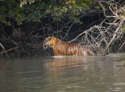 Sundarban Delta 3 Days - 2 Nights Tour