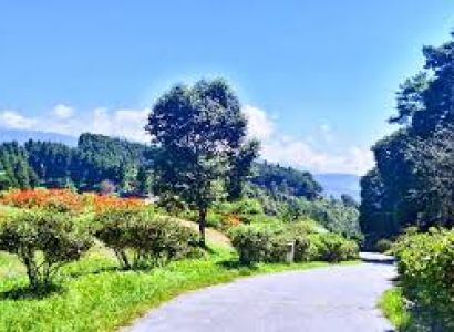 6 Days - 5 Nights Sikkim - Gangtok - Kalingpong – Darjeeling Package