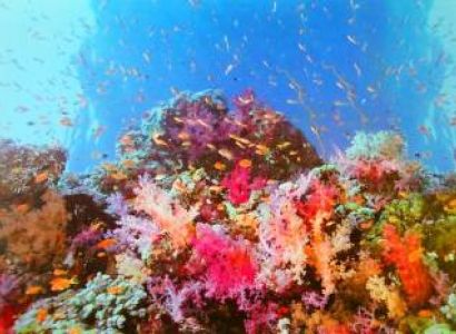 5 Night Explore Andaman - Budget