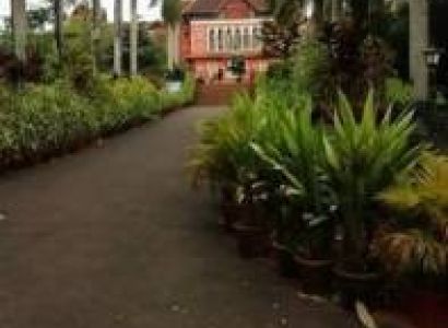 3 Nights  4 Days Alleppey to Munnar