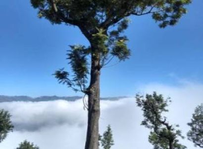 4nights  5days Chennai to Kashmmir