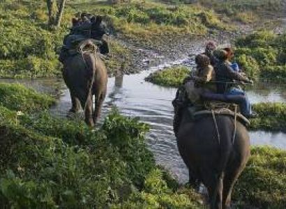 Dooars 3 Night - 4 Days Tour