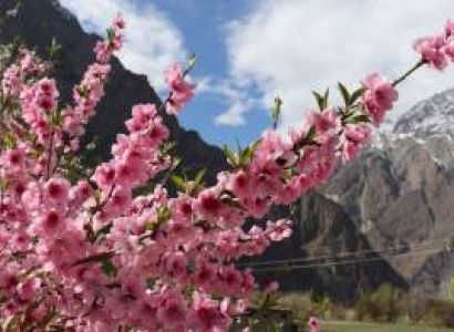 Fairy Meadows Nanga Parbat & Hunza Tour