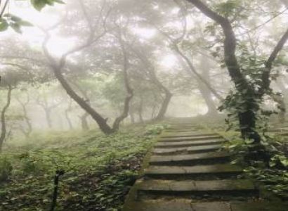 Assam - Meghalaya - Arunachal Pradesh 9 Days Tour