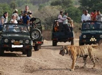 2 Days Ranthambore National Park Trip