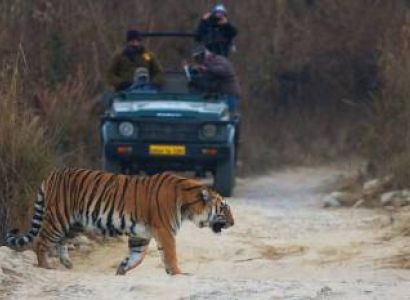 5-Day Nainital-Jim Corbett Itinerary Tour