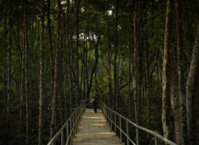 SUNDARBAN HILSA FESTIVAL 2 NIGHTS 3 DAYS TOUR