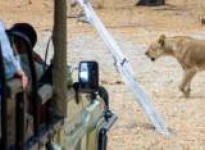 14-Day The Ultimate Safari and Zanzibar Beach Excursion