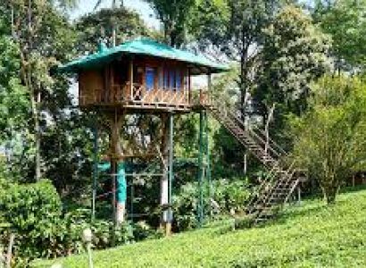 05 Nights - 06 Days Kerala Tour Package