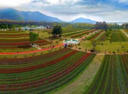 4 Nights 5 Days Kashmir tour Package