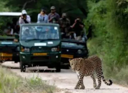 One Day Jhalana Leopard Safari Tour