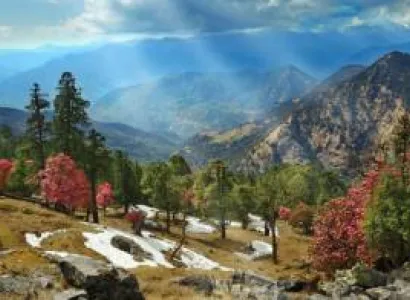 2 Days Nagtibba Trek Tour