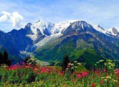 6 Days Valley Of Flower Trek Tour