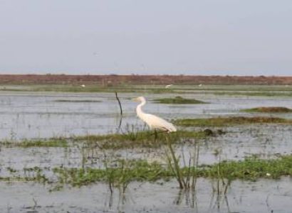 3 Nights 4 days Trekking Tour