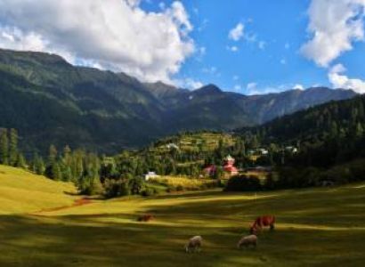 Shangarh ! Hidden Gem of Himachal Pradesh