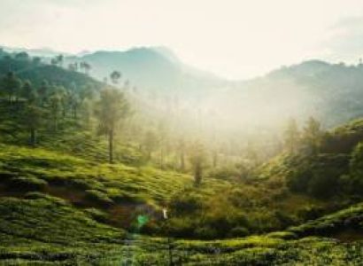 Guwahati & Shillong & Sohra & Dawki Tour Package - 11 Days Luxury