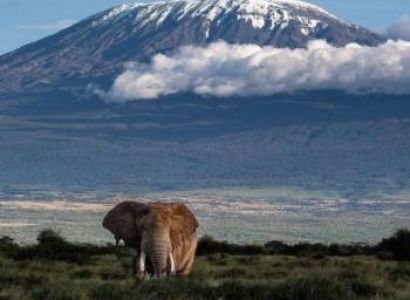 3 Days 2 Nights of Discovering the Wildlife of Amboseli
