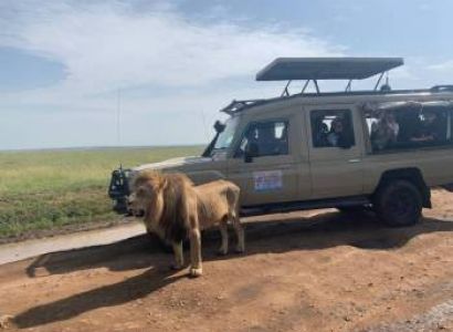 4 Days Masai Mara & Lake Nakuru