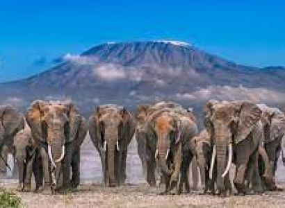 8 Days Kenya Budget Safari Tour