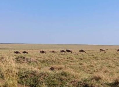 4 Days Budget Group Joining Safari Tour