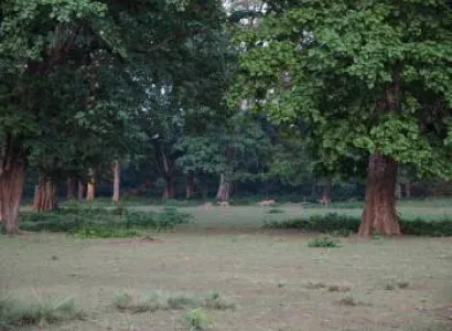 Bardiya Jungle Safari