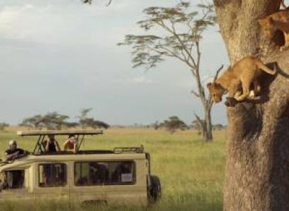 5 Days Nakuru Masai Mara Safari