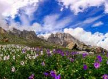 7 Nights 8 Days to Valley of Flowers