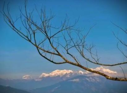 Best of North Bengal Hills. Pre -  Mansoon