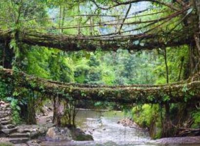 The Living Roots Bridge Trek Tour