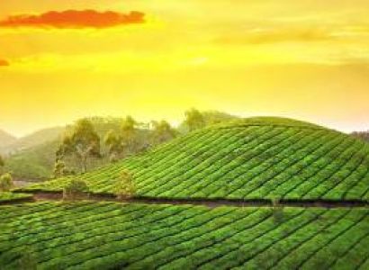 4 Nights 5 Days Kerala  Tour Package by Cab