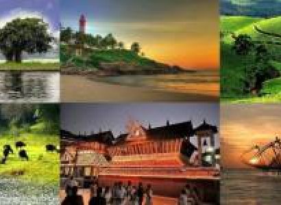 7 nights 8 days Kerala package