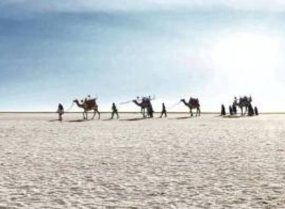 9 Nights and 10 days Exhilarating Kutch Tour Package