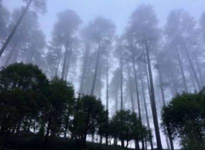 6 Nights - 7 Days Uttarakhand Tour