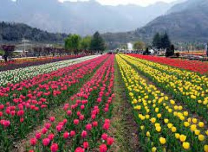 Kashmir Tour 05 Nights 06 Days