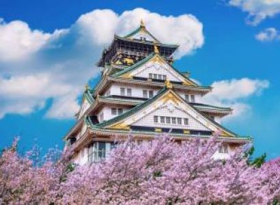Marvelous Japan - 7 Days Package