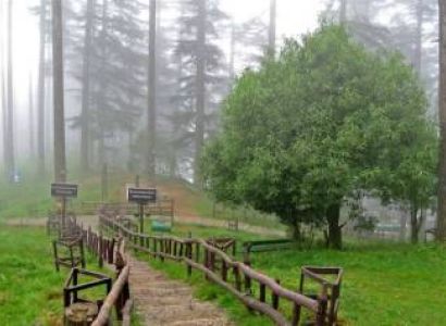 2 Night 3 Days Dhanaulti Tour Package