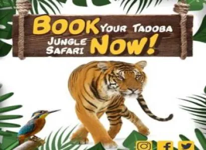 Tadoba Wildlife Safari