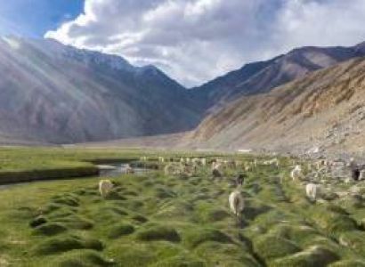 7 Night - 8 Days Indus Vally Leh West Monastaries Tour