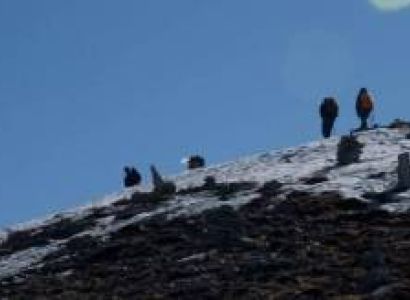 Thorong La Pass Trekking-14 Days Tour