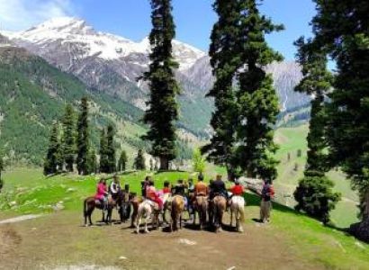Kashmir Valley 4 N 5 D Family Tour